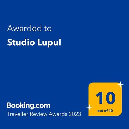 Studio Lupul Petrila Exterior photo